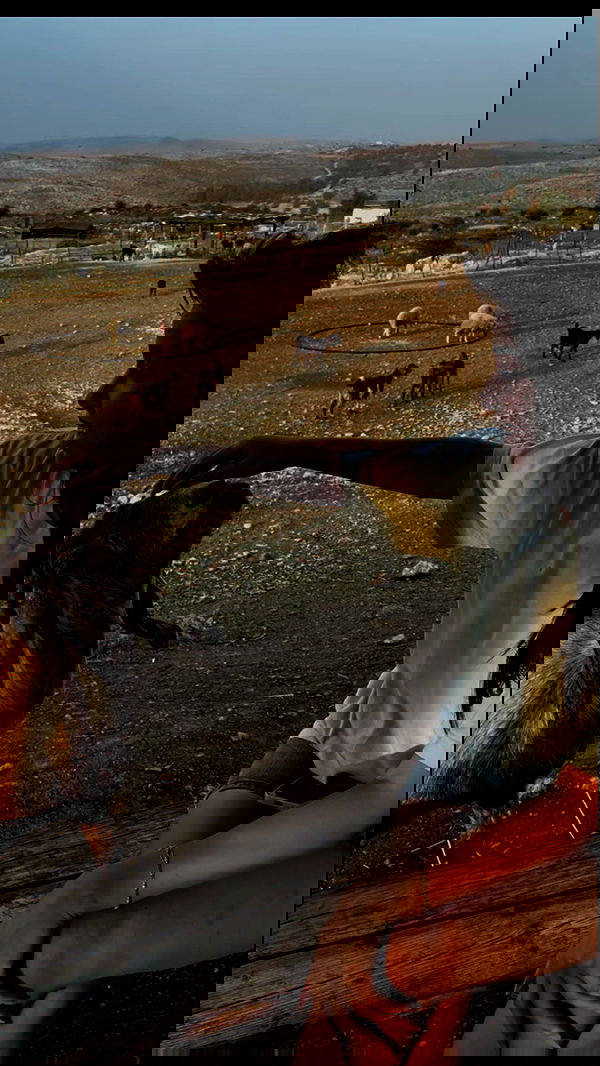 shirel_2222_ shirel_2222_ archive image