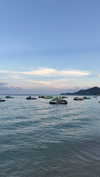 shirakor_ Altpins Profile Picture