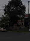 31cna_ Altpins Profile Picture
