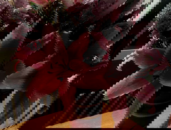 kitty.elliss kitty.elliss archive image