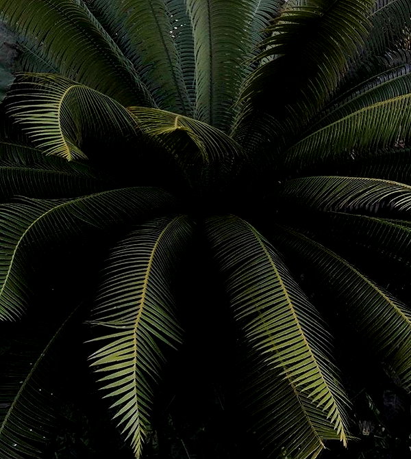 sophadophaa_ instagram image archive image