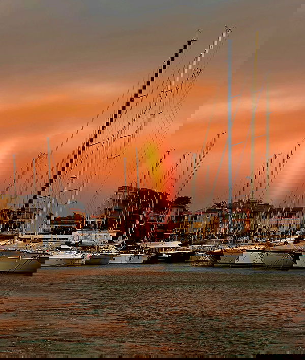 taylor.creeden taylor.creeden archive image