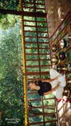 pia__kim Altpins Profile Picture