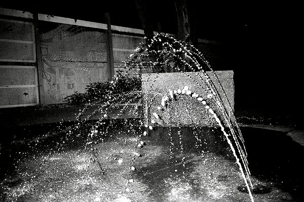 bugz4brainz instagram image archive image