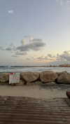 michal_cohen017 Altpins Profile Picture