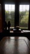 elizabethcampbelljones Altpins Profile Picture