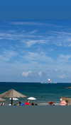 sonia_litvanchuk Altpins Profile Picture