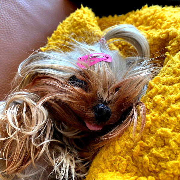 maya.keyy instagram image archive image
