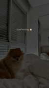 arielgino_ Altpins Profile Picture