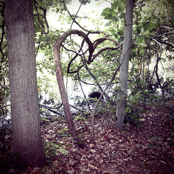 lolontlia instagram image archive image
