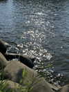 hhh.e_c.v Altpins Profile Picture