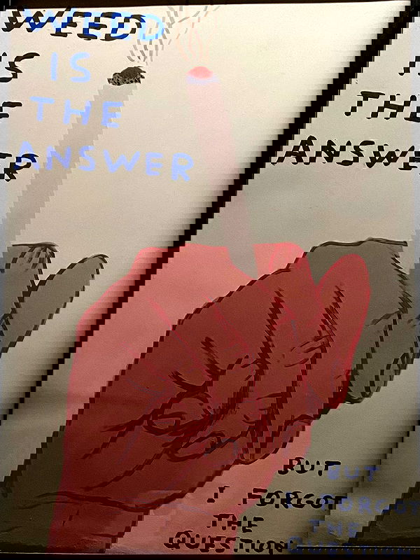 noa_zemlyanski noa_zemlyanski archive image