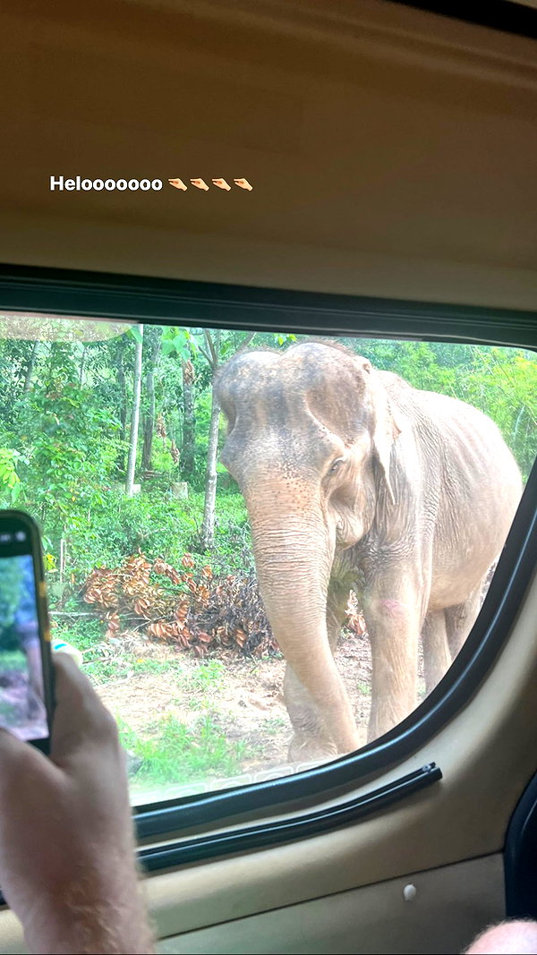 Archived image from @dana_ratushany on Instagram