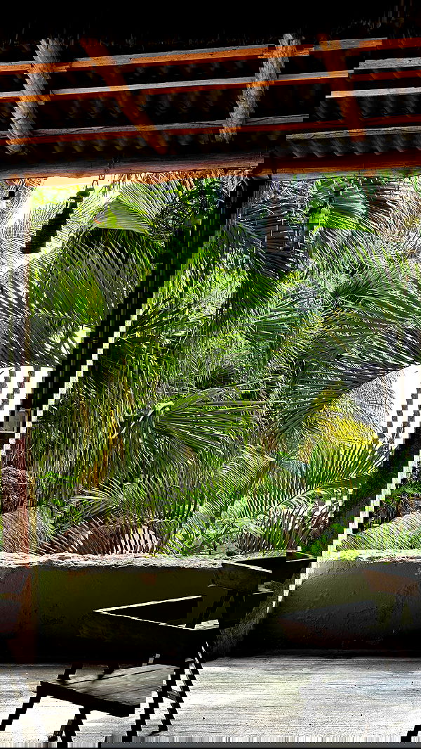 manjolamuriqi manjolamuriqi archive image