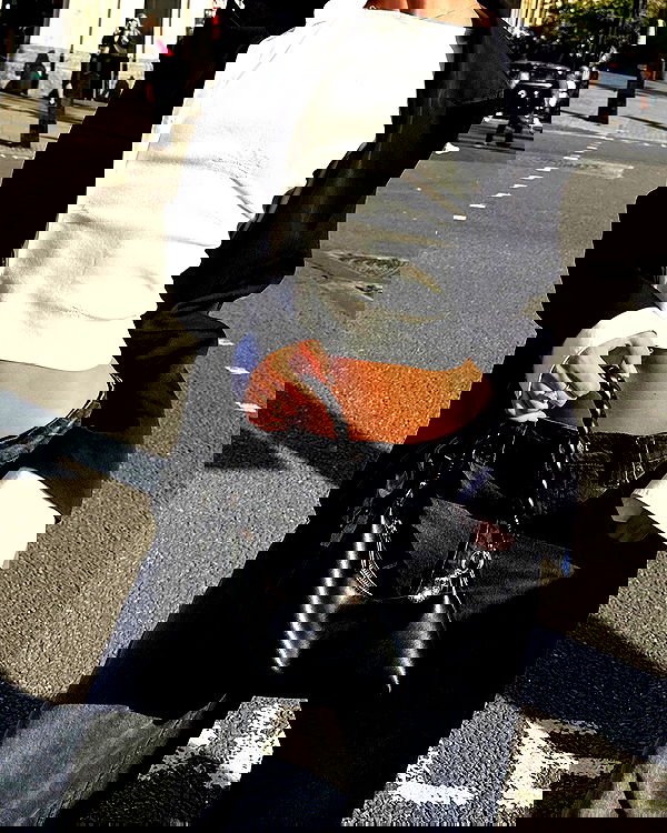 taylor.creeden taylor.creeden archive image