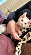 jiw_____n Altpins Profile Picture