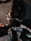 limecultt Altpins Profile Picture