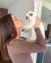 leahhalton Altpins Profile Picture