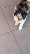 babynympho_archive Altpins Profile Picture