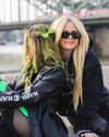 avrillavigne Altpins Profile Picture