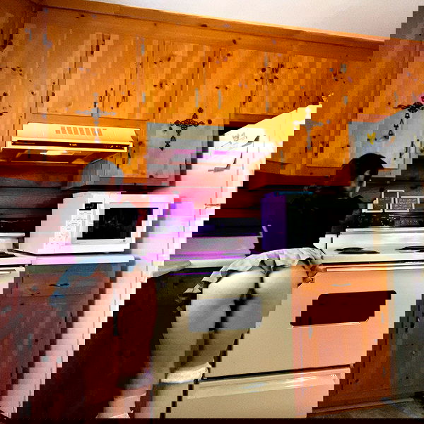 missnyxdawn missnyxdawn archive image