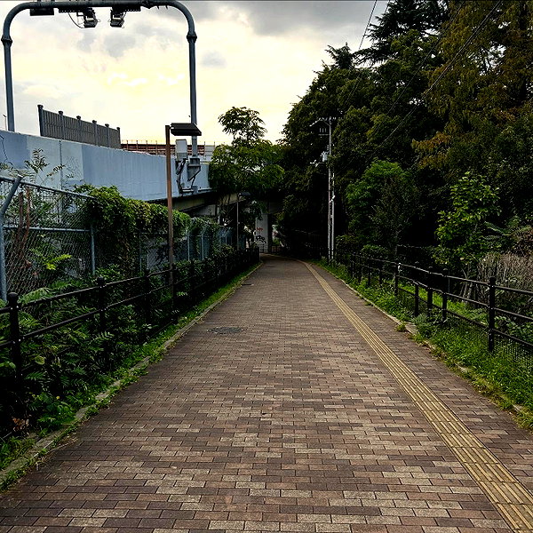 ayash.hila instagram image archive image