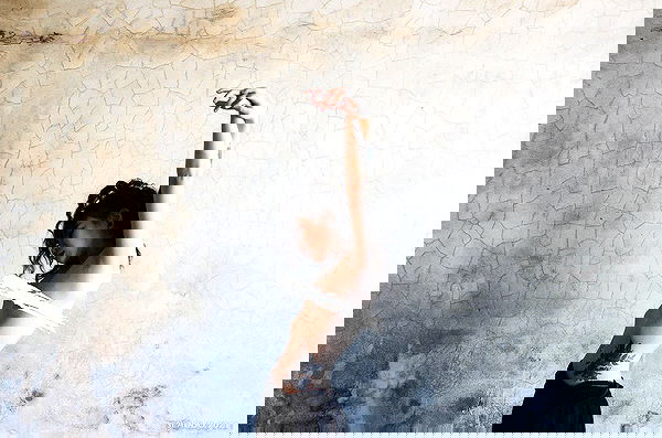 ting851204 ting851204 archive image