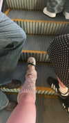 dante_yangpa Altpins Profile Picture