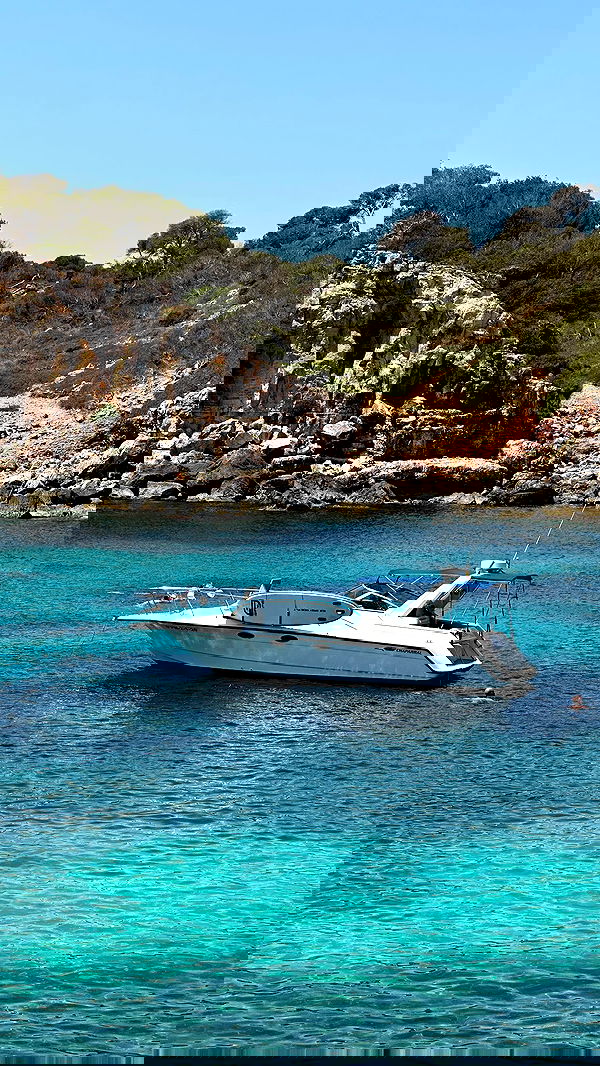 taylor.creeden taylor.creeden archive image