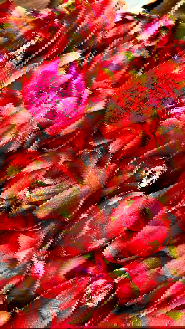 taylor.creeden taylor.creeden archive image