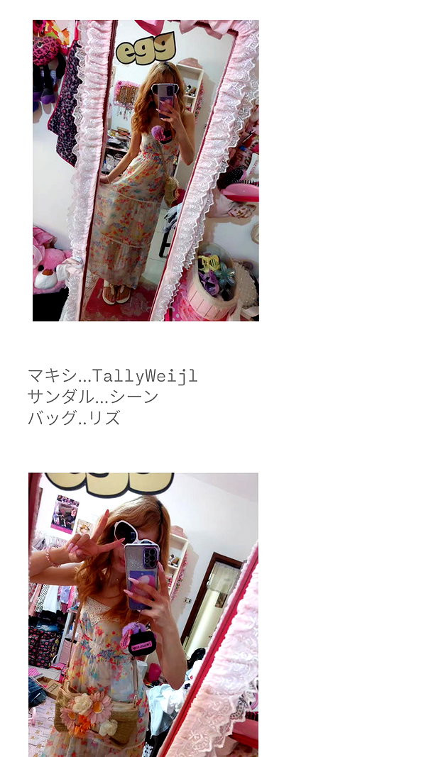 piyokoblog archive image