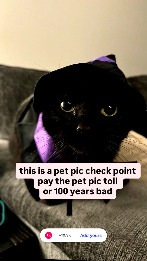 Archived image from @parkenharbor on Instagram