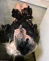 amellliiaa Altpins Profile Picture