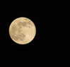 hadas_mayer_ Altpins Profile Picture