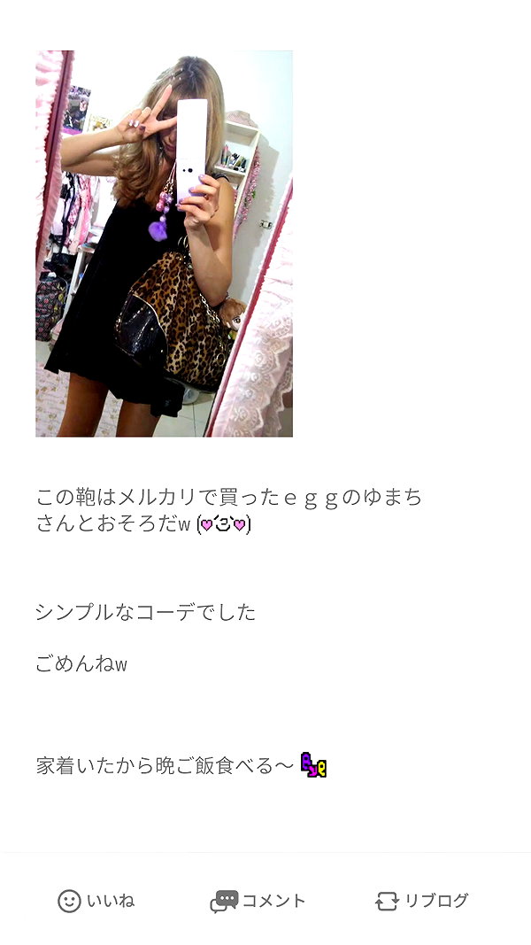 piyokoblog archive image
