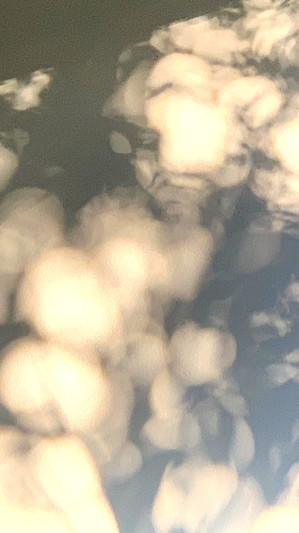 eva_romanovski instagram image archive image