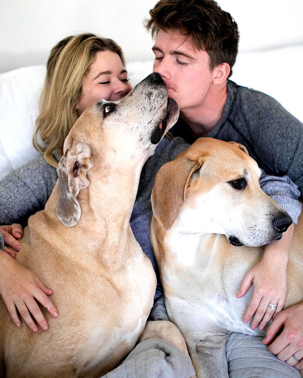 sashapieterse instagram image archive image