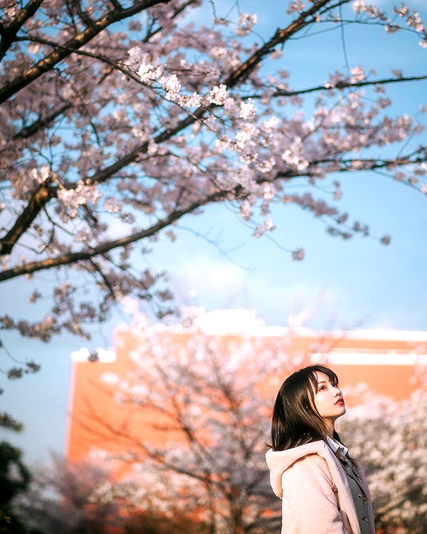 rakukoo instagram image archive image