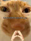 milkibunshehe Altpins Profile Picture