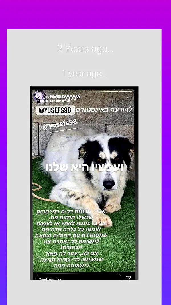 moonyyyya moonyyyya archive image