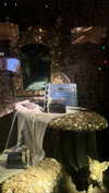 alishenyka Altpins Profile Picture