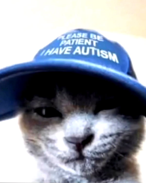 Archived image from @wenevergetyounger on Instagram