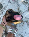 vanessa.rhd Altpins Profile Picture