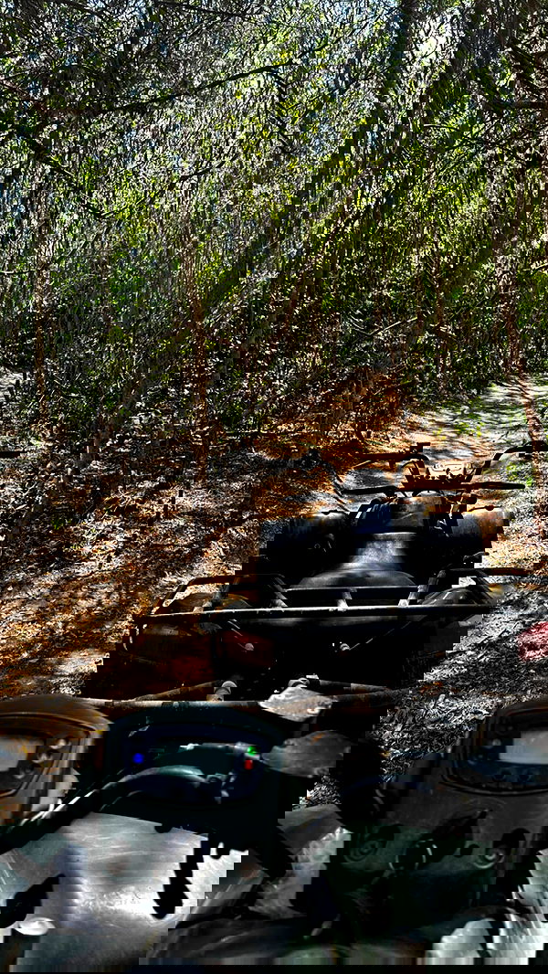 taylor.creeden taylor.creeden archive image