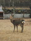 ll.lu1s Altpins Profile Picture