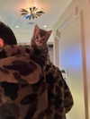 xtina Altpins Profile Picture