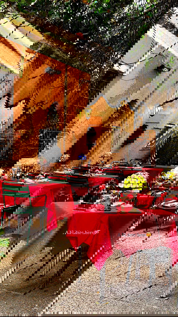 taylor.creeden taylor.creeden archive image