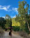 hadas_mayer_ Altpins Profile Picture