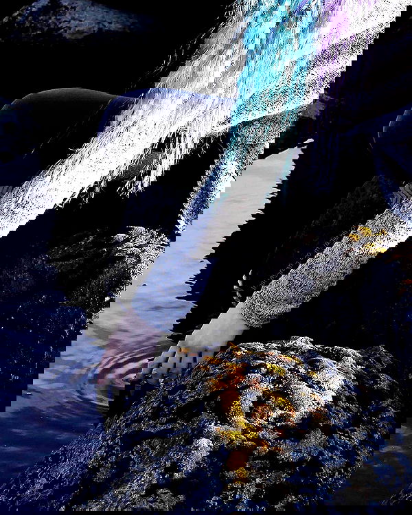 silkton image ~ Altpins