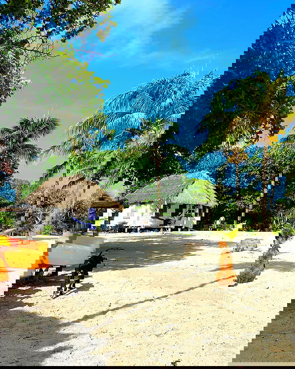 manjolamuriqi manjolamuriqi archive image